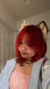petitekitti Altpins Profile Picture