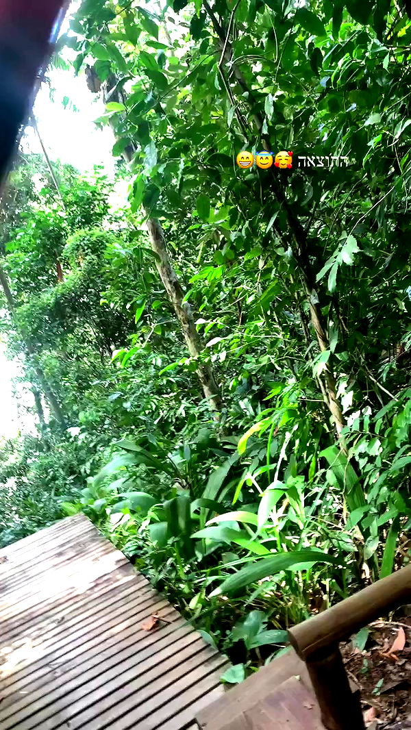 yasmin_kb archive video preview