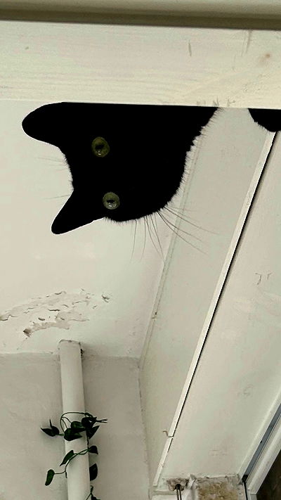 feelbetterinmysweater feelbetterinmysweater archive video