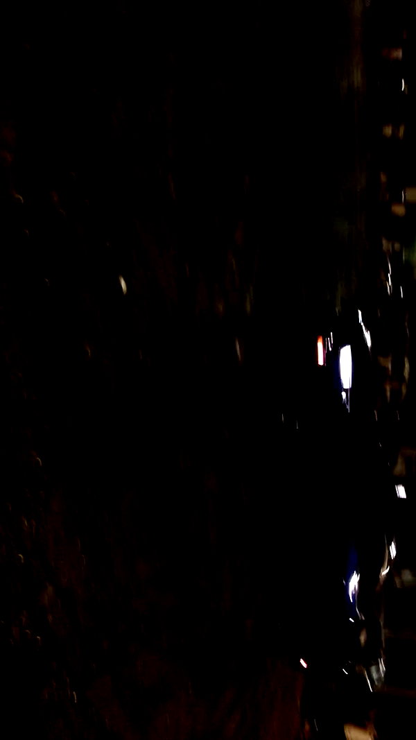 simp_for_cats_ archive video preview