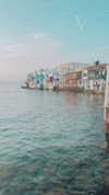 noam_alon1 Altpins Profile Picture