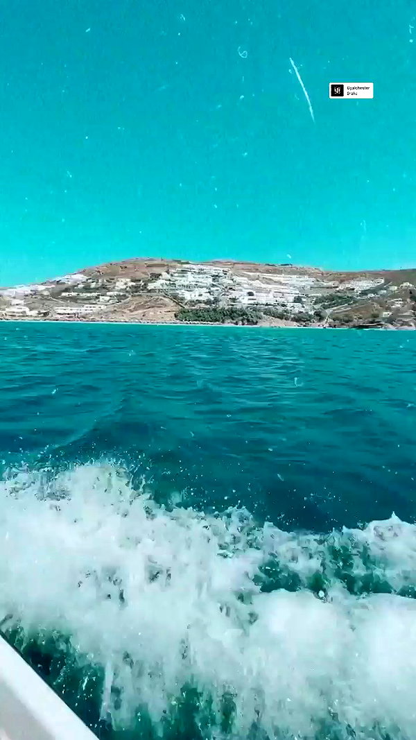 noam_alon1 archive video preview
