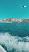 noam_alon1 Altpins Profile Picture