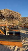 noam_alon1 Altpins Profile Picture