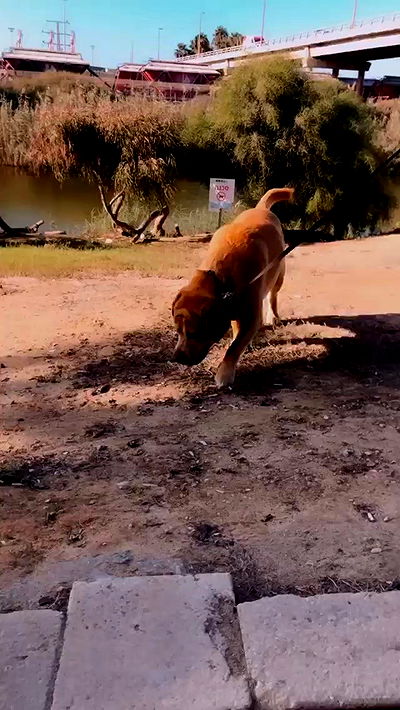 lissi77 lissi77 archive video