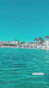 noam_alon1 Altpins Profile Picture