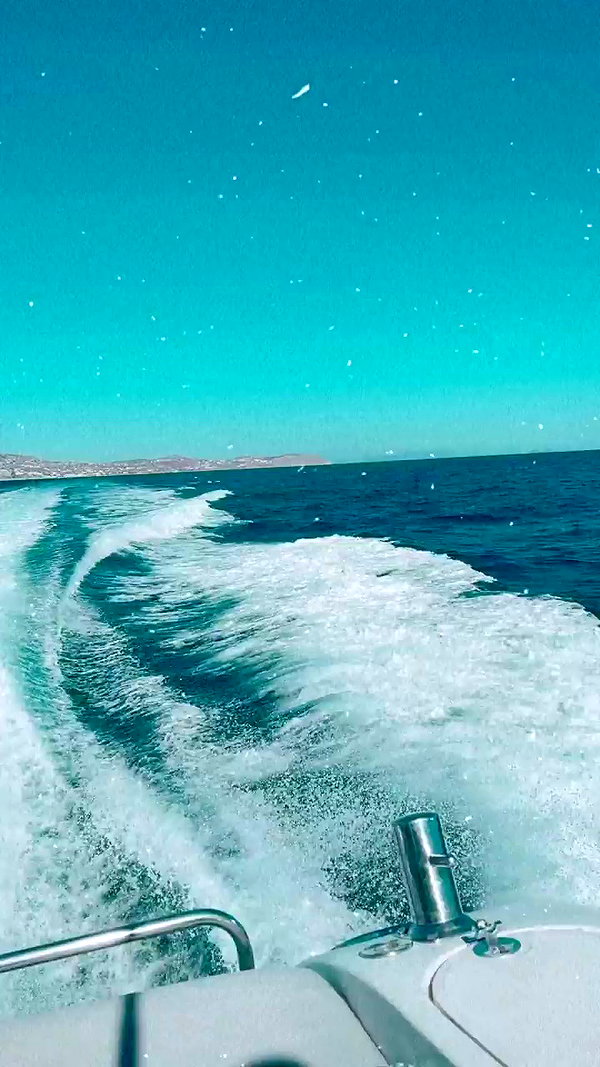 noam_alon1 archive video preview