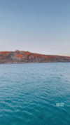 noam_alon1 Altpins Profile Picture