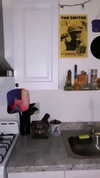 jessysiner Altpins Profile Picture