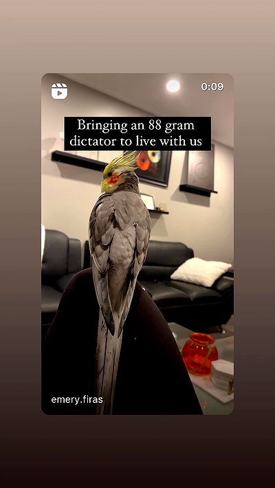 tinapavlov.sky tinapavlov.sky archive video