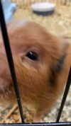 jessysiner Altpins Profile Picture