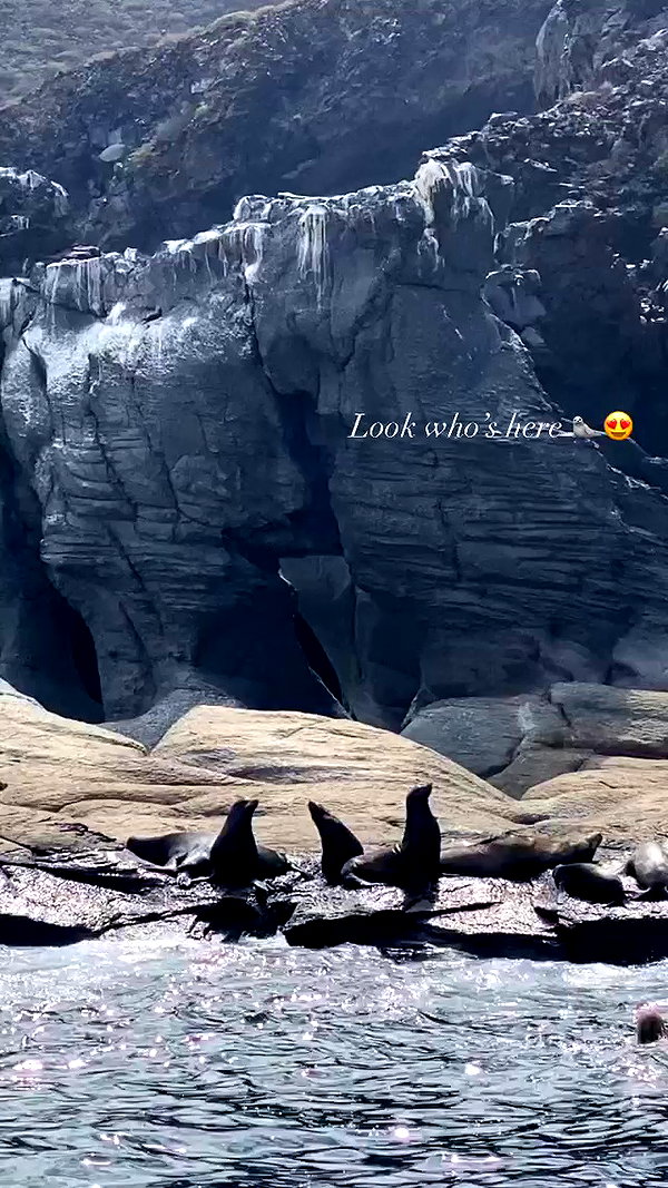 lizakovalenkoo archive video preview