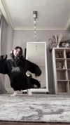 murl1kalka Altpins Profile Picture