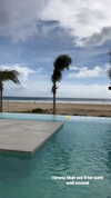 noam_alon1 Altpins Profile Picture