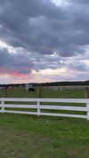 teafl0wer Altpins Profile Picture