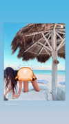 noam_alon1 Altpins Profile Picture