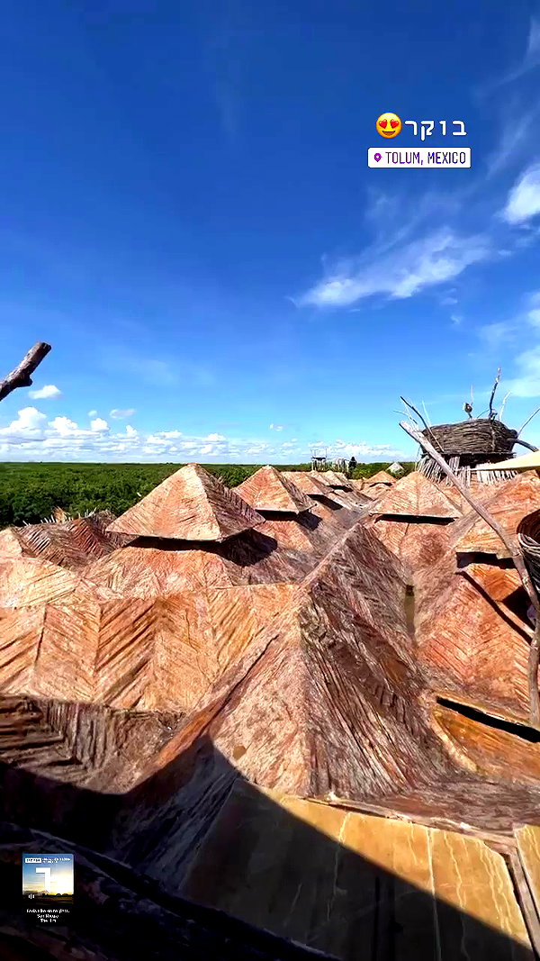 noam_alon1 archive video preview
