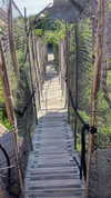 noam_alon1 Altpins Profile Picture