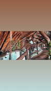 noam_alon1 Altpins Profile Picture