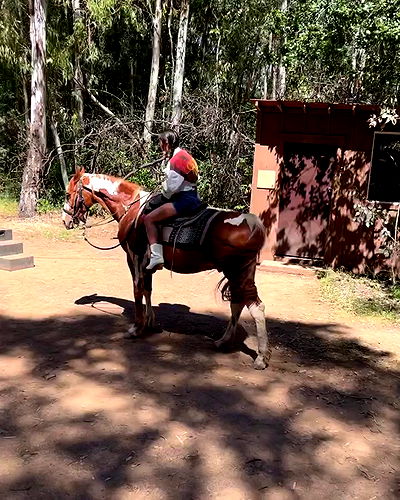 miakhalifa miakhalifa archive video