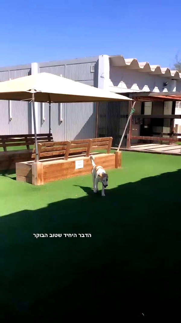 yaelxyazdi archive video preview