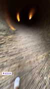 noam_alon1 Altpins Profile Picture