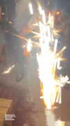 noam_alon1 Altpins Profile Picture