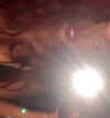 liiuuar Altpins Profile Picture