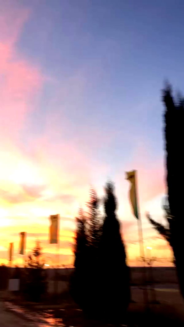 yaelxyazdi archive video preview
