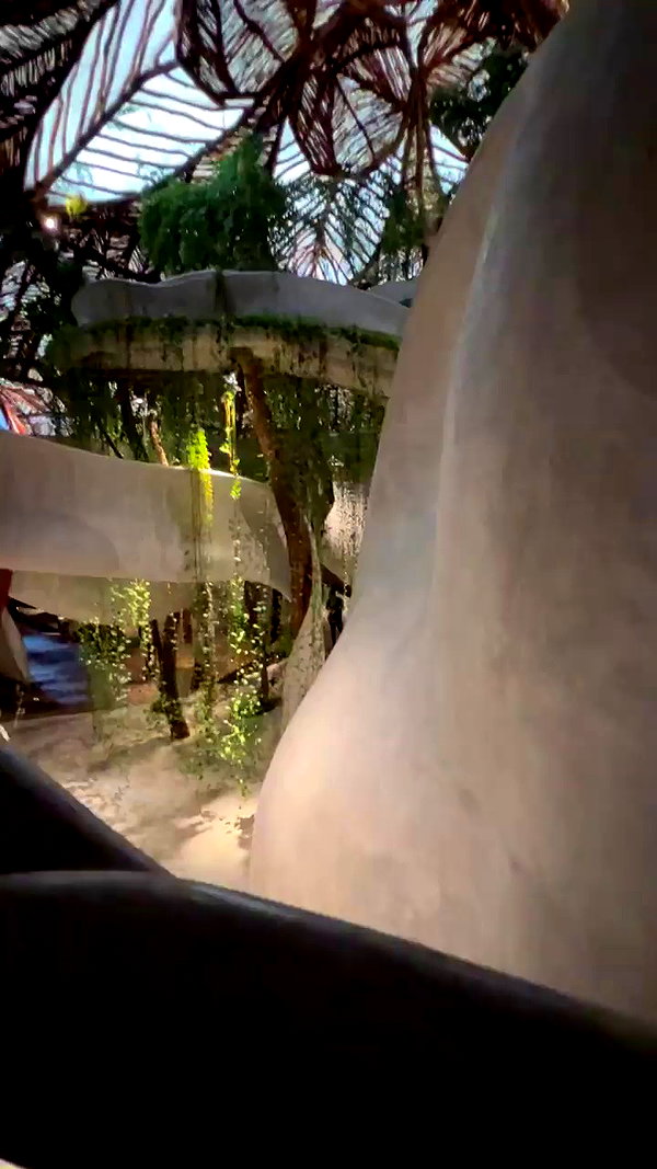 noam_alon1 archive video preview