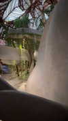 noam_alon1 Altpins Profile Picture