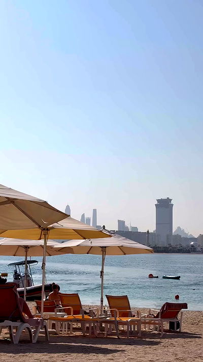 lihi.stoller lihi.stoller archive video