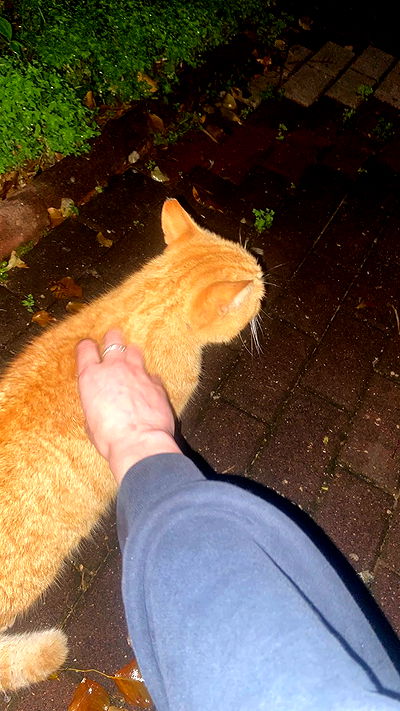 feelbetterinmysweater feelbetterinmysweater archive video