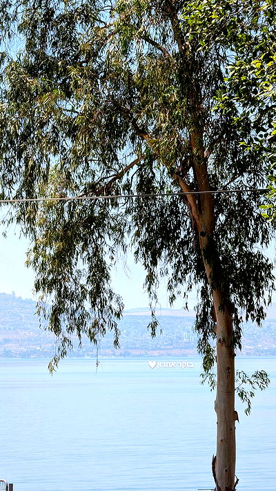 tinapavlov.sky tinapavlov.sky archive video