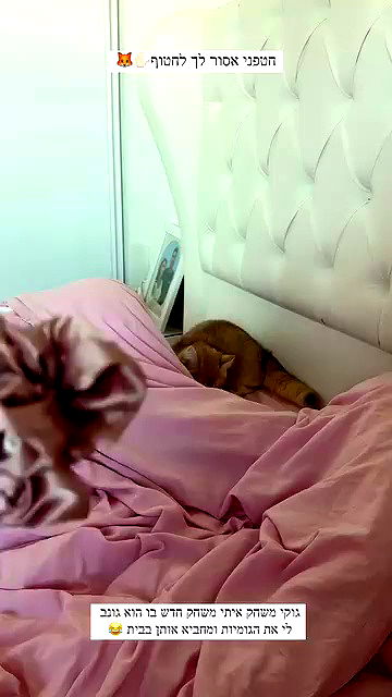 itsilanosh itsilanosh archive video