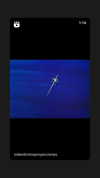 sydney_melman Altpins Profile Picture