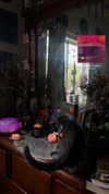 estr3iia Altpins Profile Picture