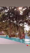 diana_polin Altpins Profile Picture