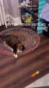 samanthacrosser Altpins Profile Picture