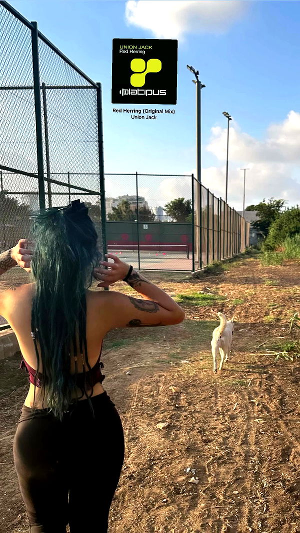 __noalarmnosurprises__ archive video preview