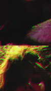 cosmickitty143 Altpins Profile Picture