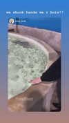 teafl0wer Altpins Profile Picture