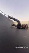teafl0wer Altpins Profile Picture