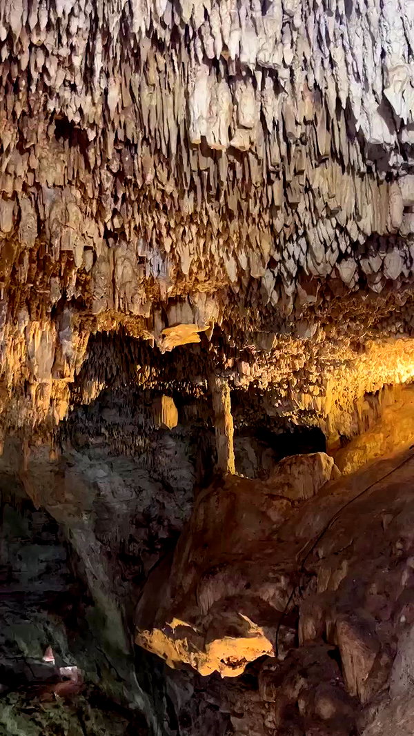 noam_alon1 archive video preview