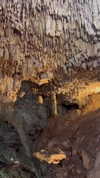 noam_alon1 Altpins Profile Picture