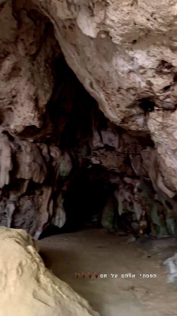 noam_alon1 archive video preview