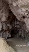 noam_alon1 Altpins Profile Picture