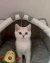 luuminizer Altpins Profile Picture