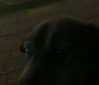 emily_new2 Altpins Profile Picture
