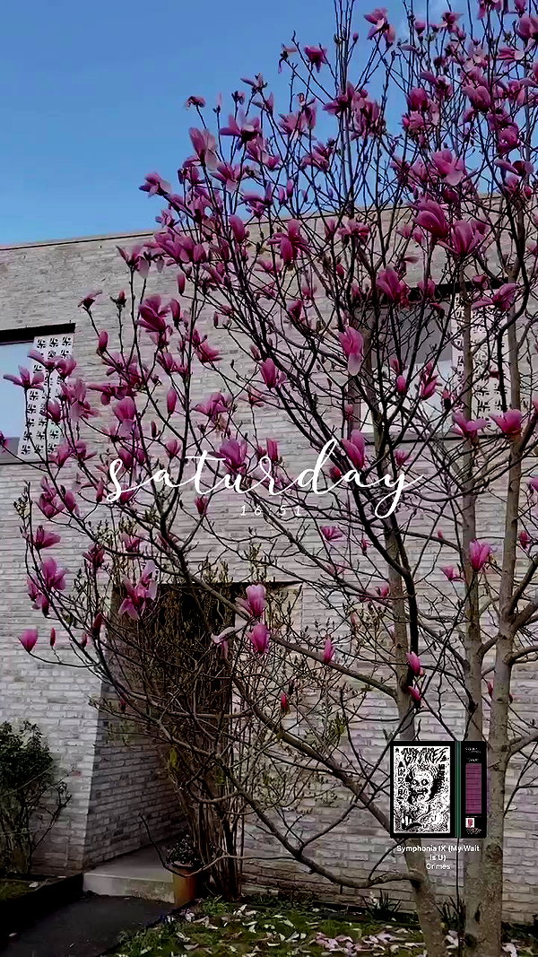 sonya_fisher_ archive video preview